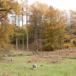 Elm - Woodland * Bowness-on-Windermere