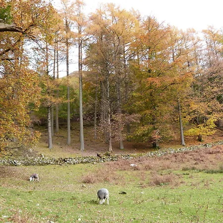 Elm - Woodland * Bowness-on-Windermere