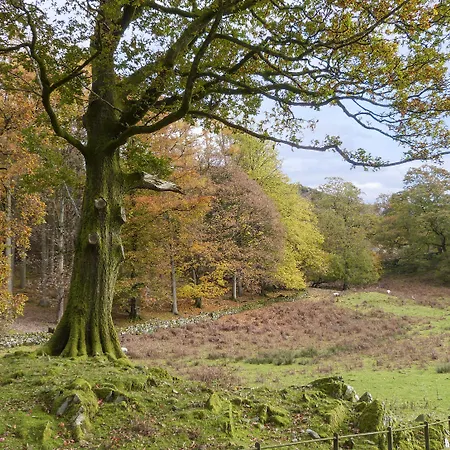 Elm - Woodland Casa de Férias Bowness-on-Windermere